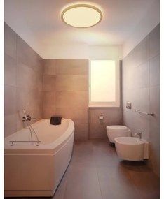Plafonieră LED dimabilă pentru baie Globo 41562-24MM SAPANA LED/24W/230V IP44