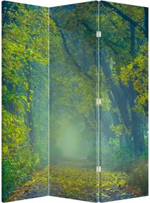 Paravan - Drum dea lungul cu copaci (126x170 cm)