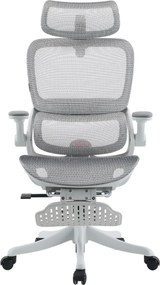 RESIGILAT- Scaun ergonomic SIHOO B100-PRO, cotiere 4D, tetiera 3D, mecanism multifunctional inclinare/blocare, suport picioare, pivotant, Mesh, Gri