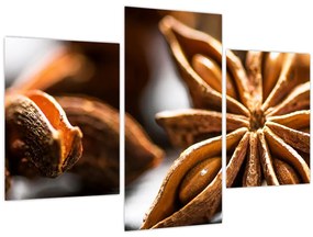 Tablou - Anason (90x60 cm)