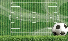 Fototapet - Teren de fotbal (254x184 cm)