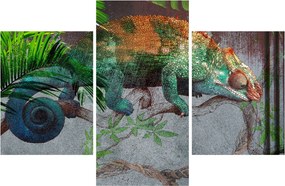 Tablou - Cameleon (90x60 cm)