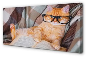 Tablouri canvas Pisica cititor