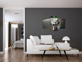 Tablou cu câinele alb (90x60 cm)