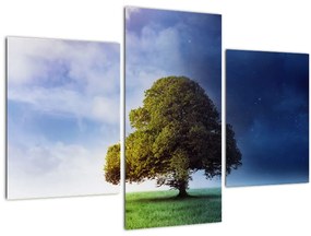 Tablou - Noapte și zi (90x60 cm)