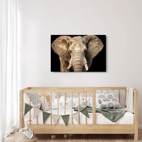 Tablou - Elefant african (90x60 cm)