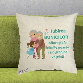 Cadou pentru Bunici - Perna Personalizata Bunicii Iubirea Infloreste cu Nepoata Teal, 40x40 cm, Ecru, Husa Detasabila, Perna Inclusa, BEKZ®