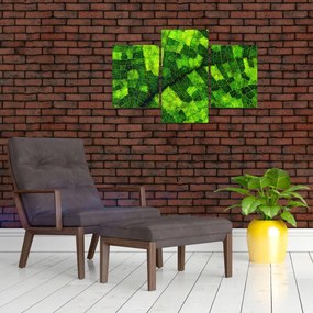 Tablou - Detaliu frunze (90x60 cm)