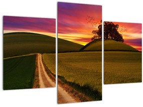 Tablou câmpului cu apus de soare (90x60 cm)