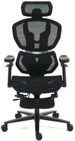 RESIGILAT- ErgoMesh X863 Scaun ergonomic, Sezut Translatie, cotiere 6D, Tetiera 3D, Suport lombar automat, Suport picioare, Baza Aluminiu, Full Mesh, Negru