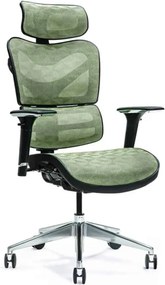 Scaun lemn masiv de birou ErgoMaster - Verde