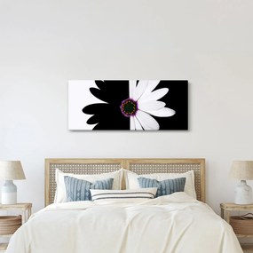 Tablou - Floare, alb- negru (120x50 cm)