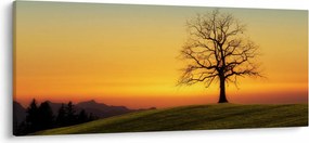 Tablou - Copacul în câmp (120x50 cm)