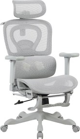 AERION-HM – Scaun ergonomic cu Masaj și Încălzire Lombară, Tetieră 3D, Cotiere 4D, Șezut Glisant, Spătar Reglabil și Suport Picioare, Full Mesh, Gri