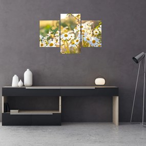 Tablou - Margarete (90x60 cm)