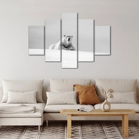 Tablou - Urs polar,alb-negru (150x105 cm)