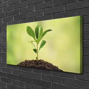 Tablou pe panza canvas Creștere Floral Verde