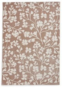 Covor maro deschis 120x170 cm Grace Floral – Catherine Lansfield