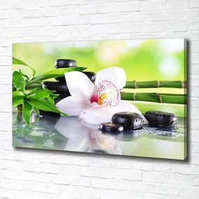Imprimare tablou canvas Orhidee
