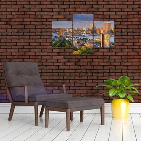 Tablou - Panorama Rotterdamului, Țările de Jos (90x60 cm)