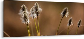 Tablou - Iarbă (120x50 cm)