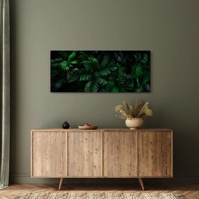 Tablou - Păpădii tropicale (120x50 cm)