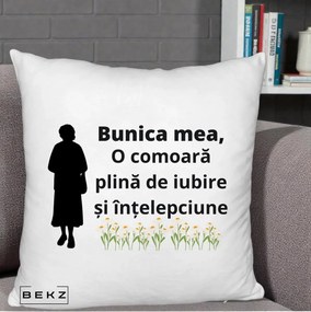Cadou pentru Bunica - Perna Personalizata Bunica Mea Comoara Iubire Intelepciune Silueta cu Nepoata, 40x40 cm, Alb Pufos, Husa Detasabila, Perna Inclusa, BEKZ®