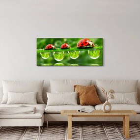 Tablou - Soarele celor șapte sori (120x50 cm)