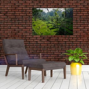 Tablou cu terasele cu orez Tegalalang, Bali (90x60 cm)
