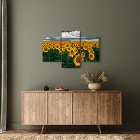 Tablou câmpului de floarea soarelui (90x60 cm)