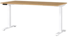 Birou cu înălțime ajustabilă electric 80x160 cm Jet – Germania