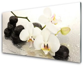 Tablouri acrilice Pietrele de flori Arta Alb Negru