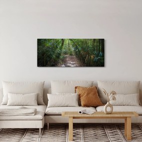 Tablou - Razele solare în junglă (120x50 cm)