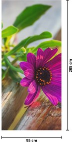 Fototapet pentru ușă - flori tăiate (95x205cm)