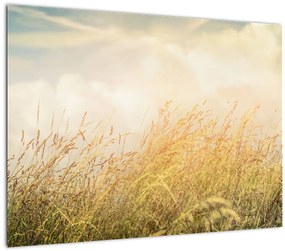 Tablou - Câmp toamna (70x50 cm)