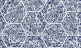 Tapet Marbled Hexagon Tiles, Dark Blue, Rebel Walls, 5 mp / rola