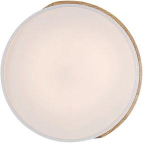 Plafonieră LED MAPLE 24W/230V albă Rabalux 3527