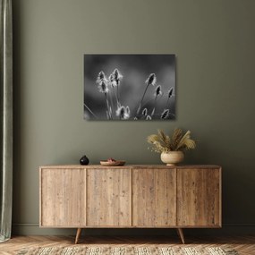 Tablou pe sticlă - Iarbă moale bej N⁰2 (70x50 cm)