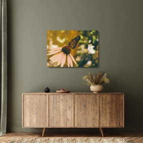 Tablou pe sticlă cu fluture pe floare (70x50 cm)