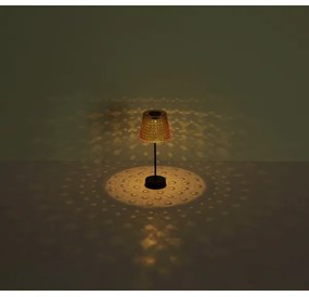 SET 2x corp de iluminat LED solar Globo 36634-2S SOLAR LED/0,06W/3V IP44 gri