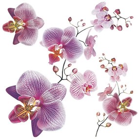 Decorațiune autocolantă Orhidee, 30 x 30 cm