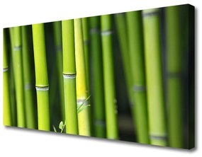 Tablou pe panza canvas Bamboo Natura Verde