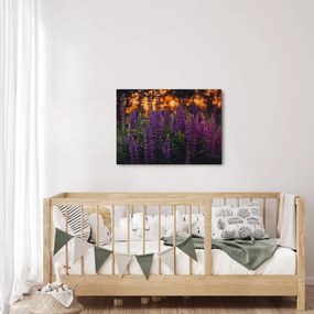 Tablou - Flori de lupin (70x50 cm)