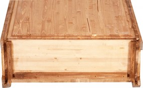 Dulap, L68 25 H98 cm, 2 usi, natur antic, lemn masiv