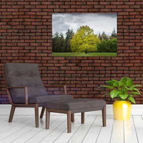 Tablou - Copac verde în câmp (90x60 cm)