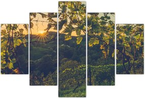 Tablou - Podgorii (150x105 cm)