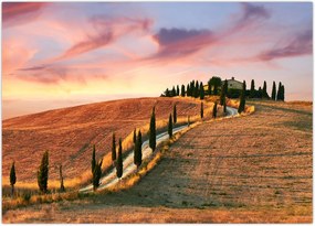 Tablou - Casa pe deal Toscana, Italia (70x50 cm)