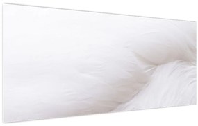 Tablou - Pană albă (120x50 cm)