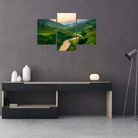Tablou - Terase de orez II. (90x60 cm)