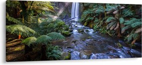Tablou cu pădurea ploilor din Austalia (120x50 cm)